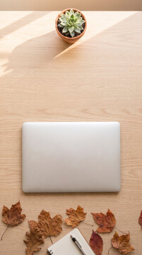Focused Laptop Workspace with Succulent and Autumn Leaves on Wooden Desk
