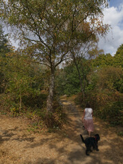 Fototapeta premium Woman Walking Dog Along Dry Woodland Trail