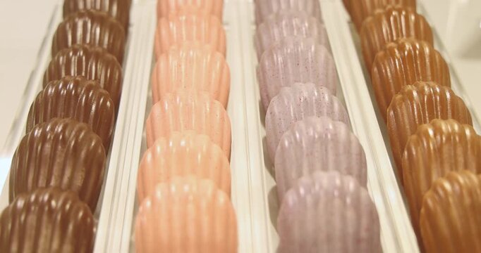 Glazed shell-shaped madeleine cakes displayed in rows on a tray, assorted flavors including chocolate and fruit, professional bakery setting, commercial food photography.