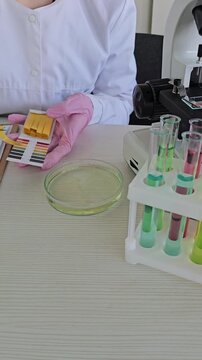 Laboratory testing process in action with multiple samples and tools on the table