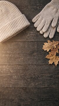 Flat lay of knit beanie and gloves with autumn oak leaves on wood floor