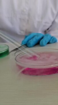 Experimenting with bacteria cultures in petri dishes at a lab