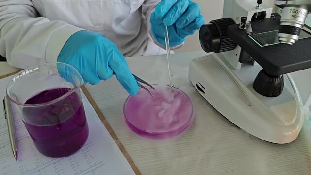 Experiment shows color change in liquids when mixed and observed under a microscope