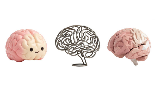 Unique brain models showcasing diverse textures and vibrant colors symbolizing intelligence and creativity