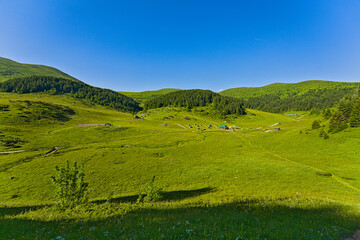Obraz premium Scenic view of a lush green mountain meadow In Biogradksa Gora National Park