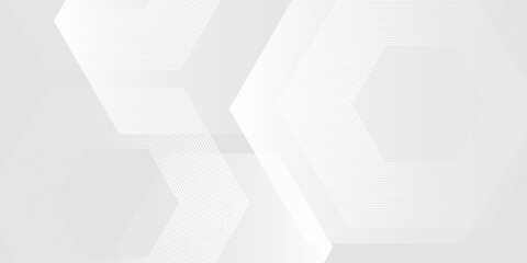 Obraz premium Minimal White Abstract Background with Good Subtle Hexagonal Line Pattern. Digital future technology concept.