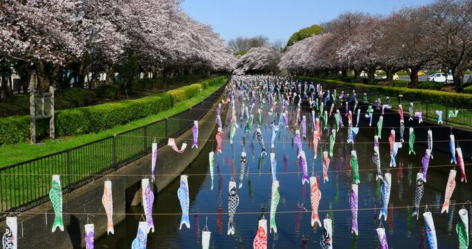 こいのぼりの里まつり