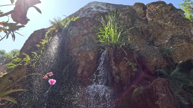 A wide shot of mini waterfalls pouring from a large rock face with plants growing on it in a unique plant park in northern Thailand during daytime.
