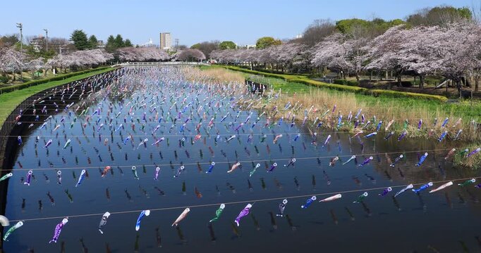 こいのぼりの里まつり