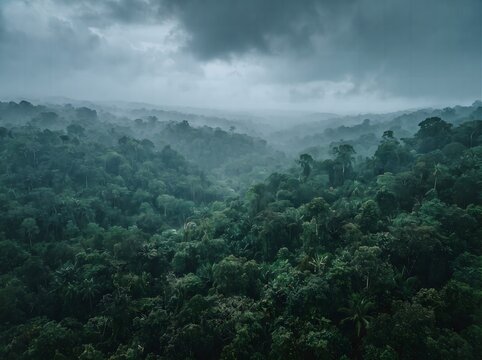 Aerial view of a lush tropical rainforest under a stormy sky