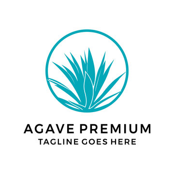 Agave plant logo design vector illustration