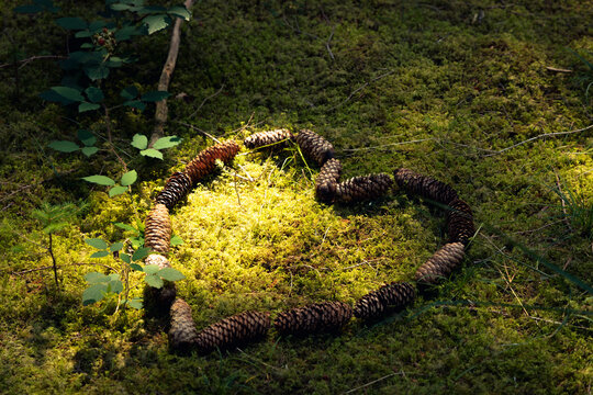 Ein Herz f&uuml;r den Wald