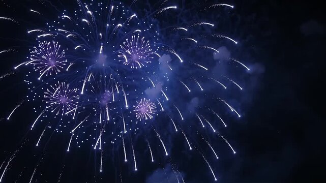 Bright fireworks exploding with colorful light trails illuminating the dark night sky during celebration