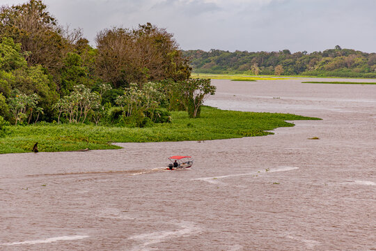 Small red-canopy motorboat navigating the Amazon River alongside lush floodplain rainforest and aquatic plants