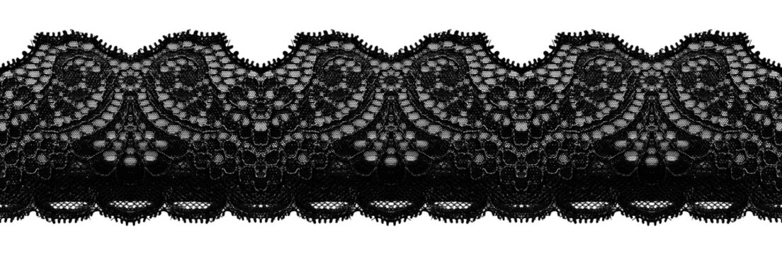 Black Seamless Lace Border Transparent Floral Dark Coquette Vintage Botanical Textile Decorative Embroidery Ornament