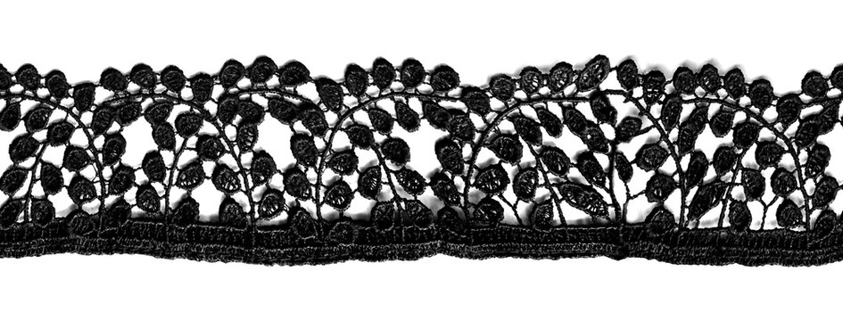Black Seamless Lace Border Transparent Floral Dark Coquette Vintage Botanical Textile Decorative Embroidery Ornament