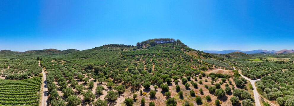 Panoramic Drone view over sunlit hills covered with olive trees and cultivated fields near Crete, showing winding roads and a forested ridge under a clear blue Mediterranean sky.