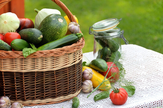 Summer vegetable harvest in the garden