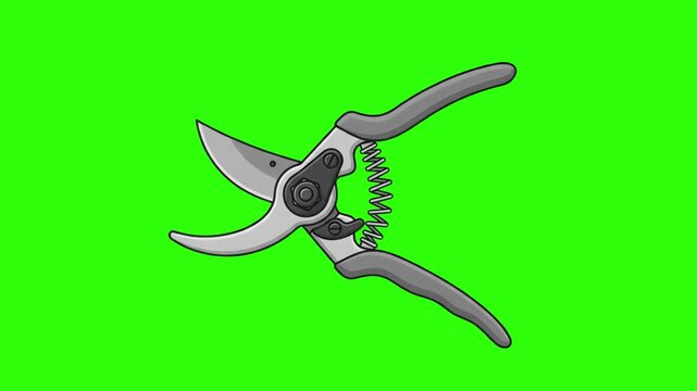 Flat 2D vector animated garden secateurs pruning shears tool isolated on a chroma key green screen background. Suitable for gardening tutorials, plant care guides, landscaping promos, horticulture com