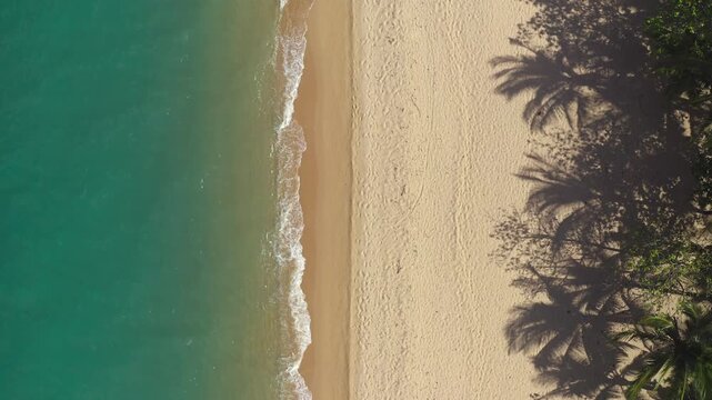 Tropical Samui Beach with turquoise ocean water gently washing golden sand, palm tree shadows cast across untouched shoreline from an aerial perspective, top down drone shot. Explore Thailand paradise