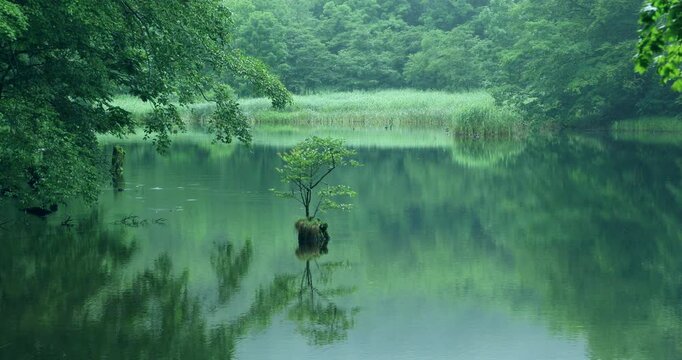 八甲田山の菅沼