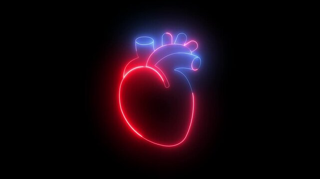 heartbeat display Electrocardiogram show heart beat line Heart health, cardiology logo animation