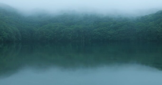 八甲田山の朝もやの蔦沼