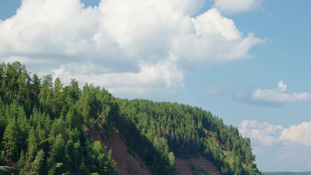 Coast of the Kama river covered with pine trees