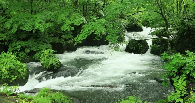 奥入瀬渓流の阿修羅の流れ