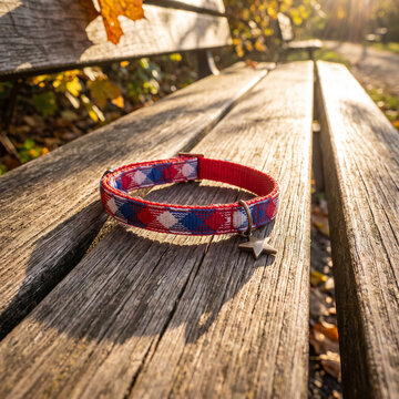 Red and blue plaid dog collar with star charm rests on park bench.
