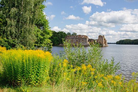 View to Koknese castle ruins at the river Daugava in August in Koknese in Latvia