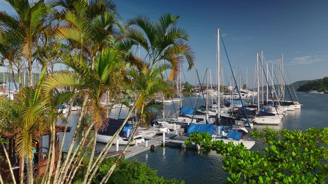 Green, cozy and luxury garden of the Marina Bracuhy near the town of Angra dos Reis in Brazil