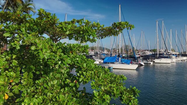 Green, cozy and luxury garden of the Marina Bracuhy near the town of Angra dos Reis in Brazil