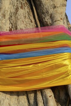 Sacred cloths wrapped around the root system of a strangler fig (Ficus religiosa), Ayutthaya, Thailand