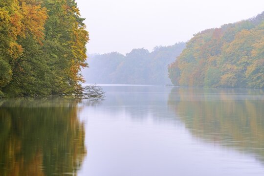 Autumn at Schmale Luzin, lake in Mecklenburg-Western Pomerania, Feldberg Lake District, Mecklenburg-Western Pomerania, Germany