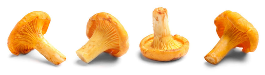 Fresh chanterelles isolated on white, set. Edible mushrooms © New Africa