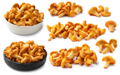 Fresh chanterelles isolated on white, set. Edible mushrooms © New Africa