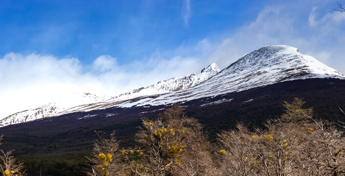patagonia