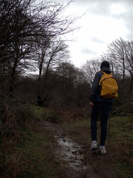 A teenager with a yellow backpack and walking stick walks down a muddy forest path lined with bare trees