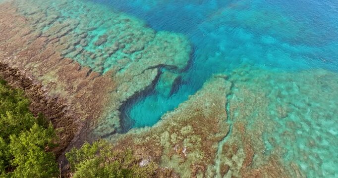 Clear turquoise ocean with intricate coral reef formations bordering lush green vegetation on Tegua, Torres Islands, Vanuatu. Wild nature landscape. Travel destination. Aerial view drone shot