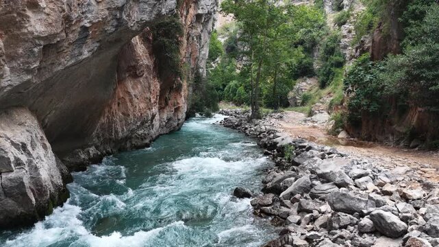 Cinematic view of a wild turquoise river flowing through a lush green rocky canyon.