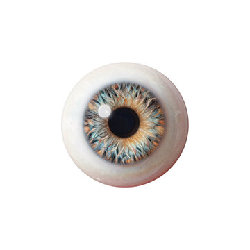 Close-up detailed illustration of a human iris with intricate fiber patterns