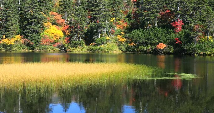 紅葉の高原温泉の緑沼