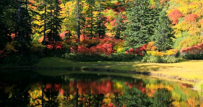 紅葉の高原温泉の滝見沼