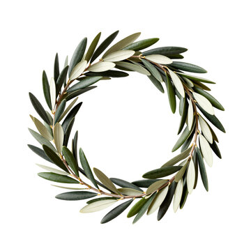 Olive branches forming a circular wreath on a white background