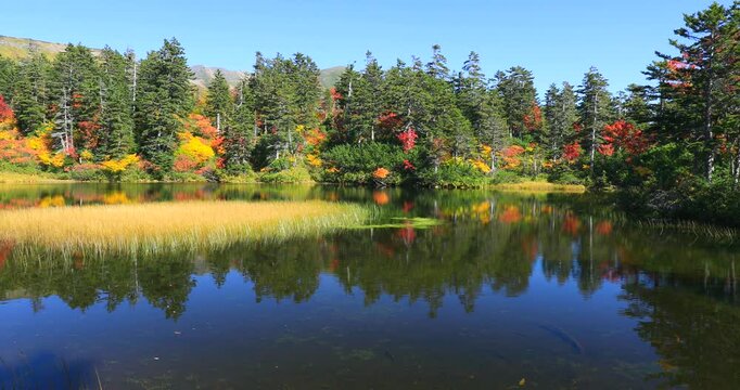 紅葉の高原温泉の緑沼