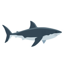 Fototapeta premium Powerful gray shark swimming with sharp fins and streamlined body, isolated on white background, cartoon vector illustration for ocean wildlife and marine themes