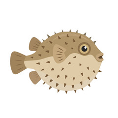 Spiny pufferfish with a rounded body and distinctive spikes, isolated on white background, cartoon vector illustration for tropical ocean and marine life designs © Tricreative Project