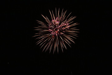 Fototapeta premium fireworks in the sky