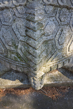 Carved stone tortoise tail and shell pattern on traditional monument pedestal in South Korea.